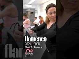 Flamenco 2024 2025 - Zambra