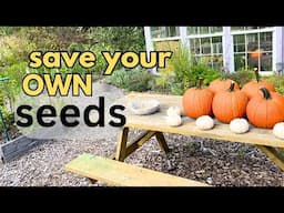 SEED saving: when they're READY and when they're NOT