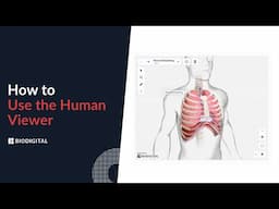 How to use the BioDigital Human Viewer