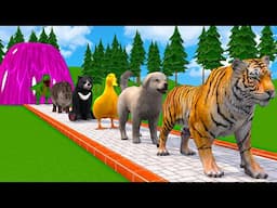 Paint & Animals Cow,Gorilla,Elephant,Lion,Tiger,Dinosaur, Fountain Crossing Transformation Cartoon