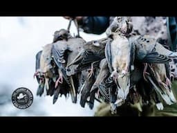 South America Upland Slam - Entre Rios | Mark V. Peterson Hunting