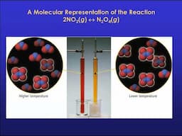 Equilibrium & the Equilibrium Constant