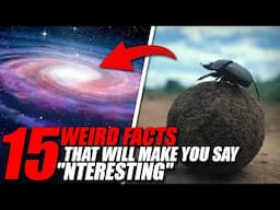 15 Weird Facts That Will Make You Say Huh, Interesting!