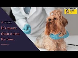 Canine Cancer Screening At Home with Oncotect