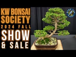 KW Bonsai Society 2024 Fall Show - Photo Slideshow