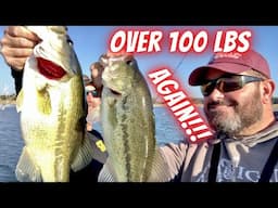 Texas Fall Bass Fishing Beatdown!!! We Caught OVER 100LBS in a day, on Glide Baits and Swim Baits!!!