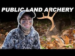 PA Deer Hunting * SUCCESS * Public Land Saddle Hunt