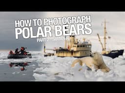 Polar Bears in Summertime - How to get closer?