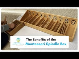 The Benefits of the Montessori Spindle Box