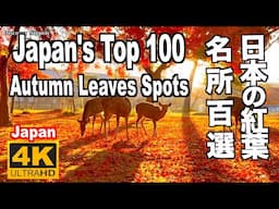 日本の紅葉名所100選 Japan's Top 100 Autumn Leaves Spots 紅葉の名所 日本の秋 絶景紅葉 紅葉スポット 全国 Autumn foliage