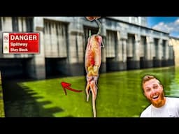 Fishing a MASSIVE Spillway w/ New NASTY Bait!! (it was LOADED)