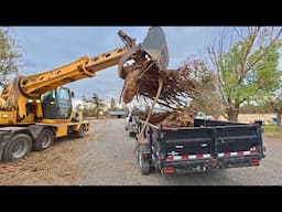 My new excavator DESTROYS tree stump!