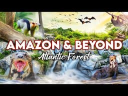 Zoo Tours: Zoo Miami's Amazon & Beyond |  PART THREE