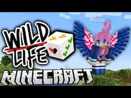 Surprise! 🎲  | Ep. 1 | Wild Life