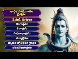 కార్తీకమాసం సోమవారం ప్రత్యేకం | శివ స్తుతి | లింగాష్టకం | Lord Shiva Songs | Bhakthi Songs