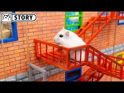 Hamster Robber escapes from Prison Maze - Shorts 🐹 Homura Ham