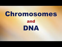 Chromosomes and DNA Short Explanation