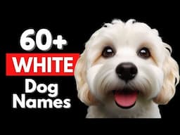 Unique White Dog Names