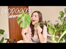 Propagasi Tanaman | Plant Care #Eps3