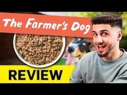 The Farmer's Dog Review: Pros, Cons, and Everything in Between (2024)