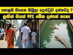 කොළඹ තියෙන කිඹුලා දොරටුව දන්නවද ? ළඟින් ගියත් 99% මේක දන්නේ නැහැ | #colombo #wishwadanuma #iqmeteray