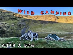 BACKPACKING WITH A DOG - Bowscale Tarn LAKE DISTRICT UK - Wild Camping