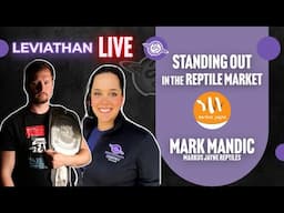 Standing Out in the Reptile Market | Markus Jayne Reptiles | #ballpython #reptile #snake