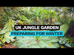 November Jungle Garden Plant Care - Updated Overwintering Tips 2024