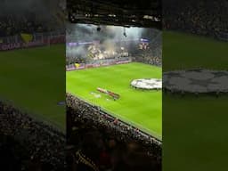 SK Sturm Graz Pyrotechnik in Signal Iduna Park - Champions League vs Borussia Dortmund