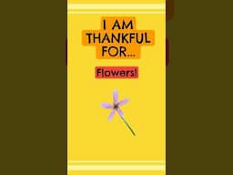 30 Days of Thankfulness Challenge - Day 20