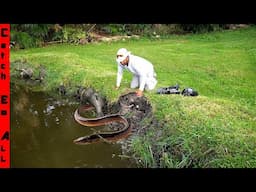 GROUP of INVASIVE FISH WALKED on DRY LAND to DESTROY MY POND!