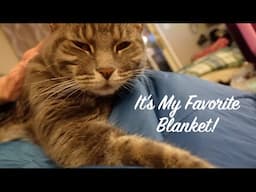 It's My Favorite Blanket!