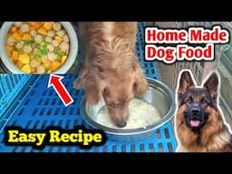 High Protein Home Made Dog Food Recipe | Healthy Food For Dogs | Best Dog Food