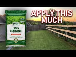 Lawn Fertilizer Recommendations // How Much Fertilizer to Apply Each Year for Healthy Green Grass