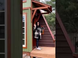 Social Media Questions & Mean Redditors #aframe #tinyhouse