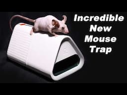 The GOODNATURE Smart Mouse Trap Is Incredible Technology. Mousetrap Monday