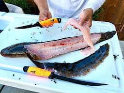 Catch & Cook BULLSEYE SNAKEHEAD!!! KastKing Filet And Bait Knife