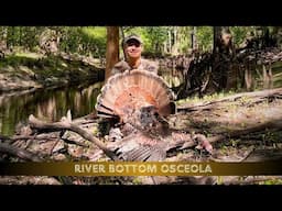 OSCEOLA HUNTING on FL WMA ~ A River Bottom Adventure