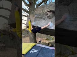 My Hardest Boulder Flash of 2024 So Far! #bouldering