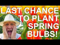 Last Chance to Plant Spring Flowering Bulbs!