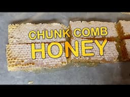 How to make Chunk Comb Honey, Making Jars of Honey with the Comb, Harvesting Cut Comb