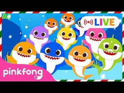 [🔴 LIVE] 🏆TOP Baby Shark Dance Songs | Winter Baby Shark | Doo Doo Doo | Pinkfong Live