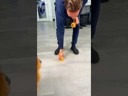 His reaction was priceless 🐤😂