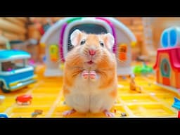 DIY Maze Challenge 🐹 Hamster Escapes the Ball Pool Maze 🐹 Mini Danisa