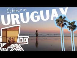 A Sunday in Ciudad de la Costa Uruguay | Voting day and Local Market vlog