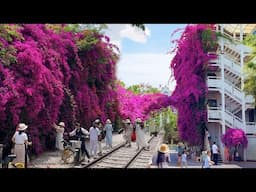 Touring the Triangular Plum Blossom Waterfall in Kunming, China.