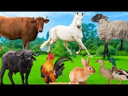 Farm Animal Sleep: Cow, Rabbit, Sheep, Chicken, Duck, Buffalo - Animal Sounds