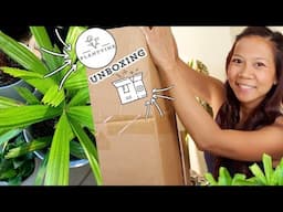 Plantvine Unboxing 📦 | Licuala Ramsayi Palm 🌴 || A girl with a garden