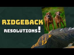 2024 Rhodesian Ridgeback Resolutions