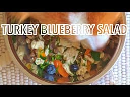 The Dog Chef: Turkey Spinach Salad with Blueberry and Goats Cheese | Easy Homemade Dog Food Recipes